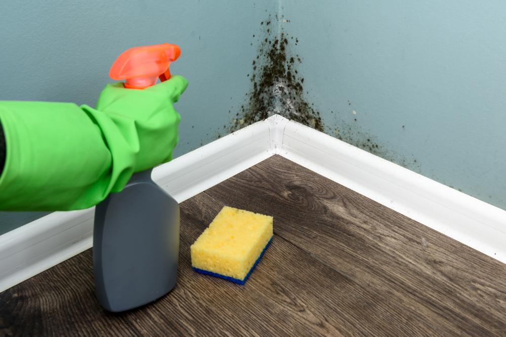 a person cleaning a room with a sponge