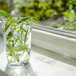 une plante verte dans un vase en verre sur le rebord d'une fenêtre